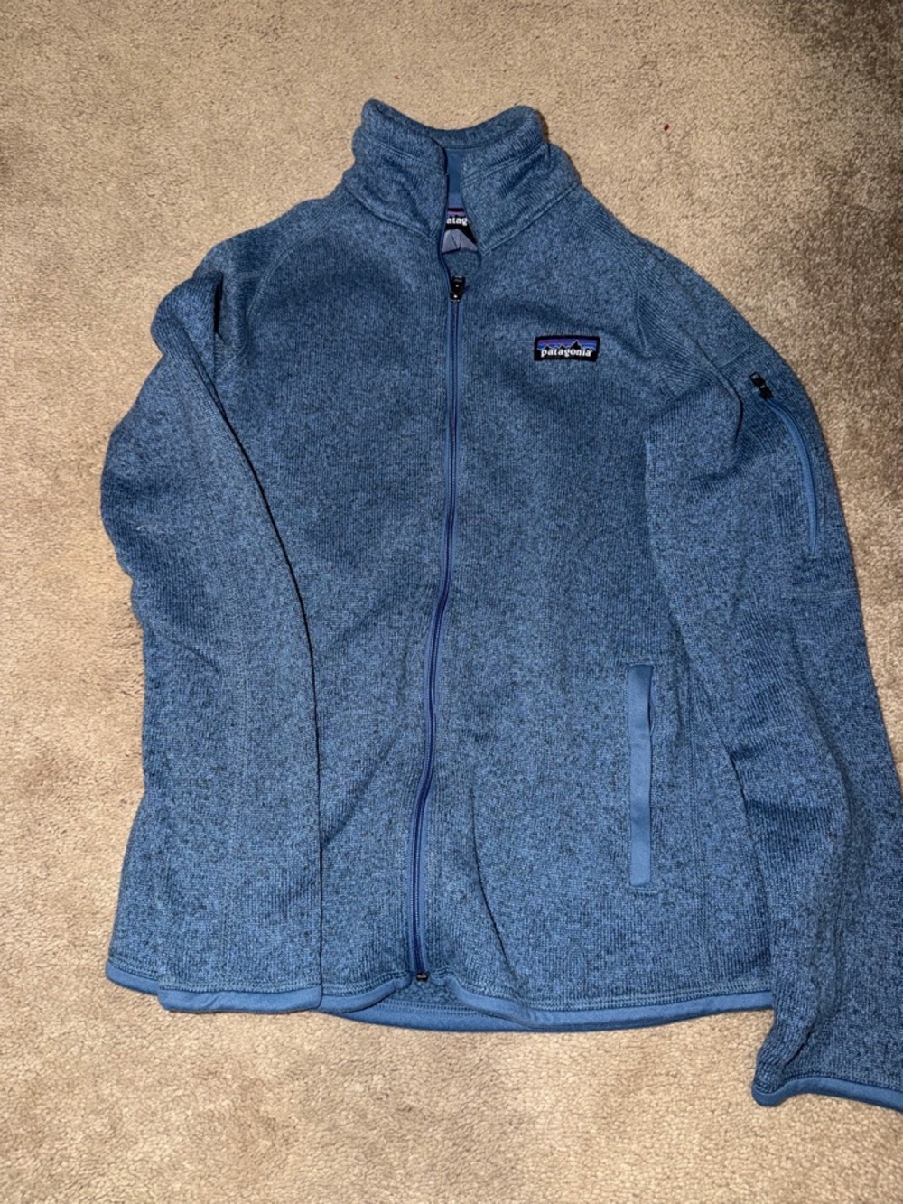 Patagonia Light Blue Fleece Pullover
